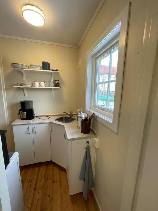Apartament With Access To Garden, Central, Quiet And With Free Parking Fredrikstad Dış mekan fotoğraf