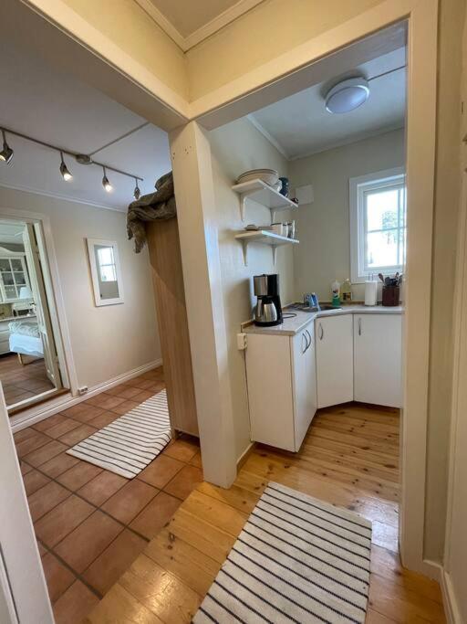 Apartament With Access To Garden, Central, Quiet And With Free Parking Fredrikstad Dış mekan fotoğraf
